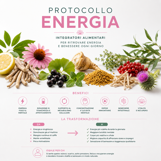Protocollo Energia